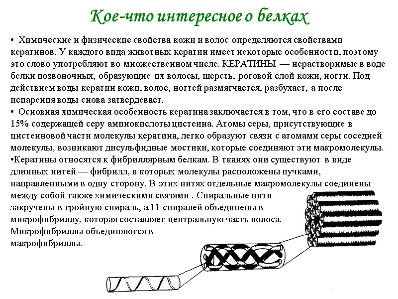 Кое-что интересное о белках Химические и физические свойства кожи и волос определяются свойствами кератинов. Кое-что интересное о белках Химические и физические свойства кожи и волос определяются свойствами кератинов.